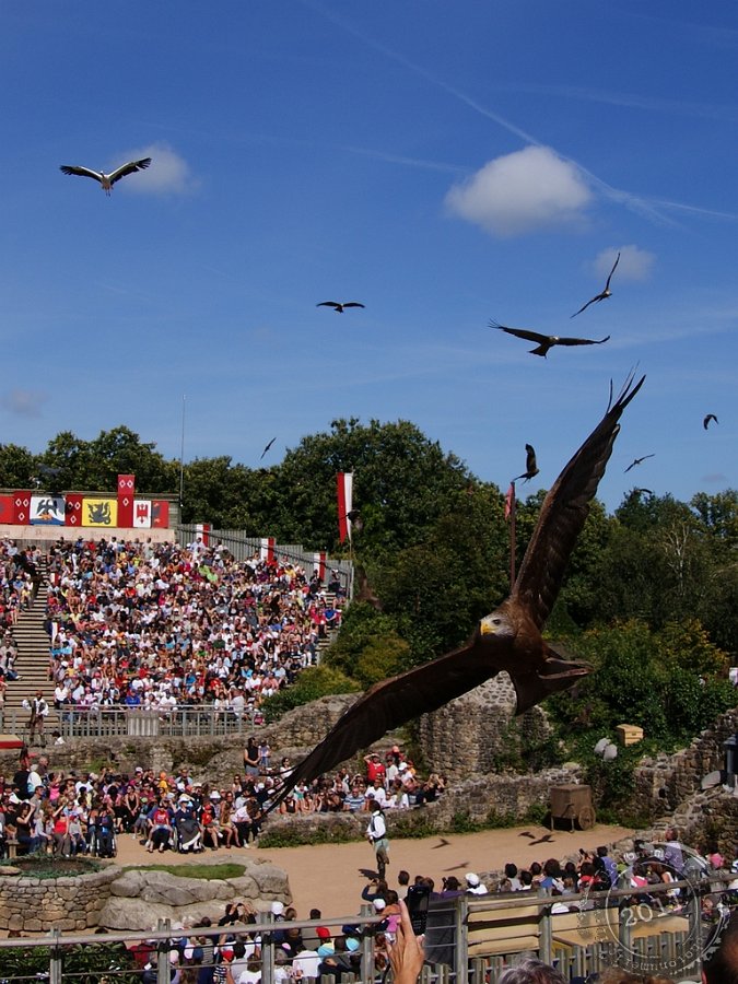 Le Bal des Oiseaux Fantômes - Le Puy du Fou [Ajout de photos] - Animaux